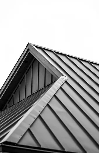 Homepage X